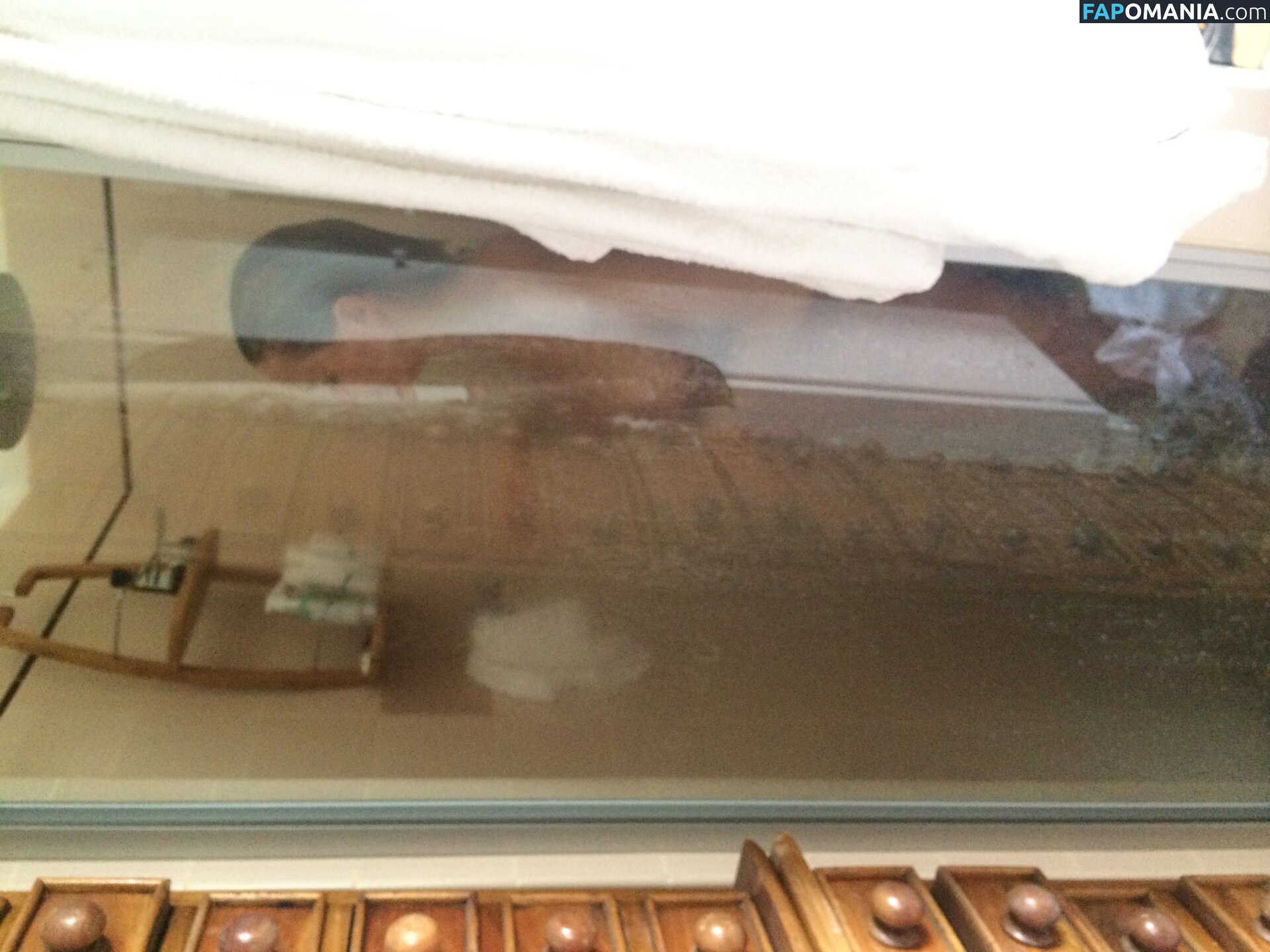 Lara Bingle ヌード 流出写真 #245