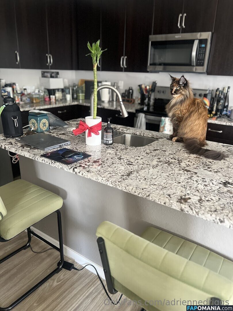 adrienne.driggs / adriennedriggs ヌード OnlyFans  流出写真 #9