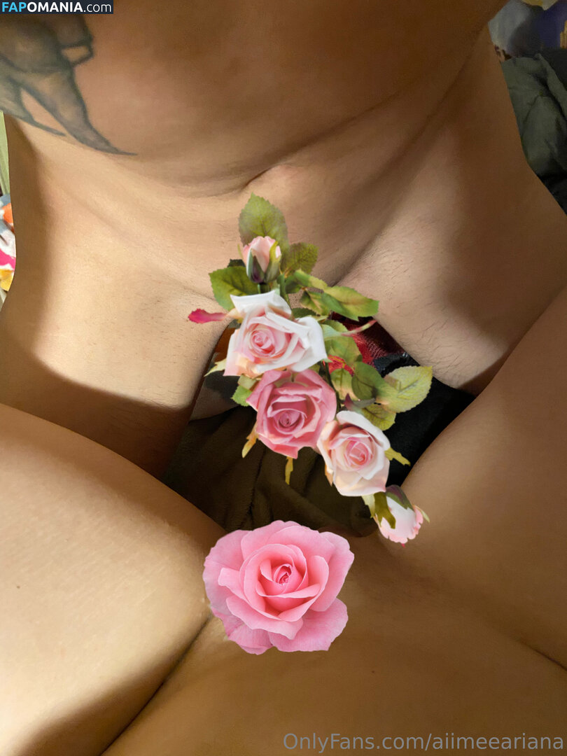 aiimeeariana ヌード OnlyFans  流出写真 #3