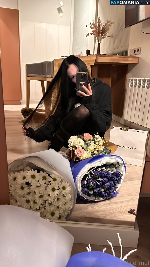 alice_mul / l_amulette ヌード OnlyFans  流出写真 #17