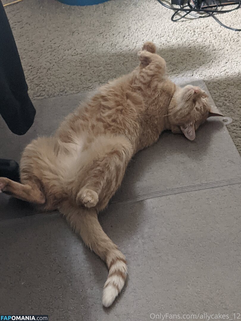 allycakes_12 ヌード OnlyFans  流出写真 #3