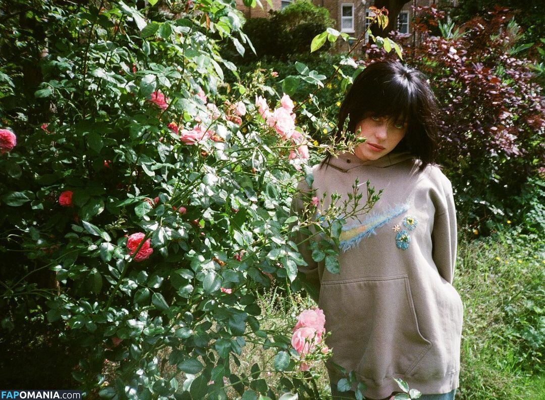 Billie Eilish / Fake / billeeilish / billieeilish ヌード OnlyFans  流出写真 #2228
