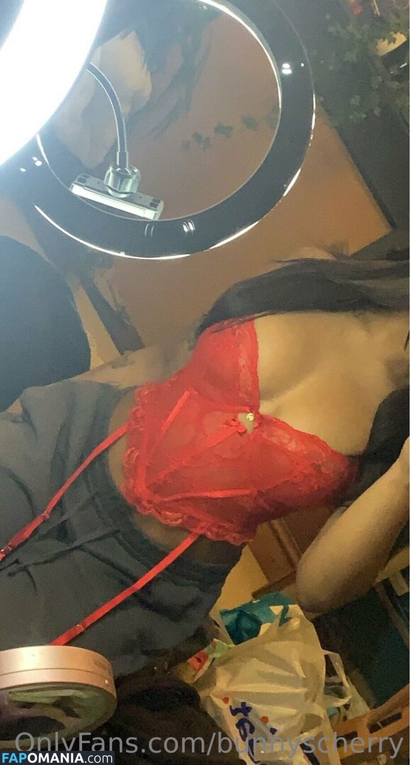 Bunnyscherry / bunnycherry4741 ヌード OnlyFans  流出写真 #14