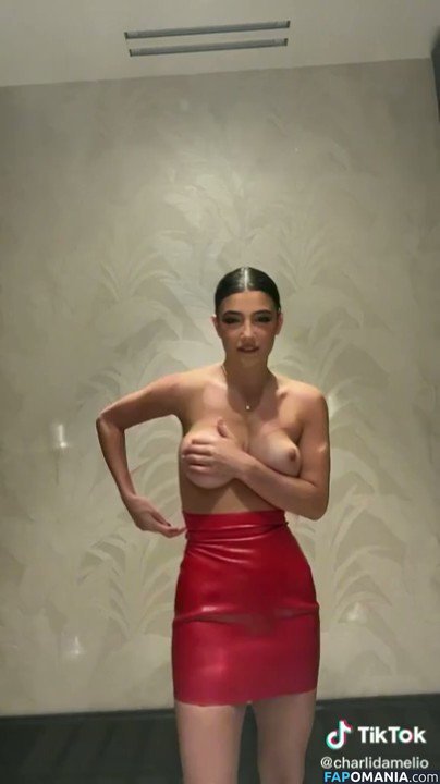 Charli D'Amelio / Charli Damelio / charlidamelio / charliesdamelio ヌード OnlyFans  流出写真 #72