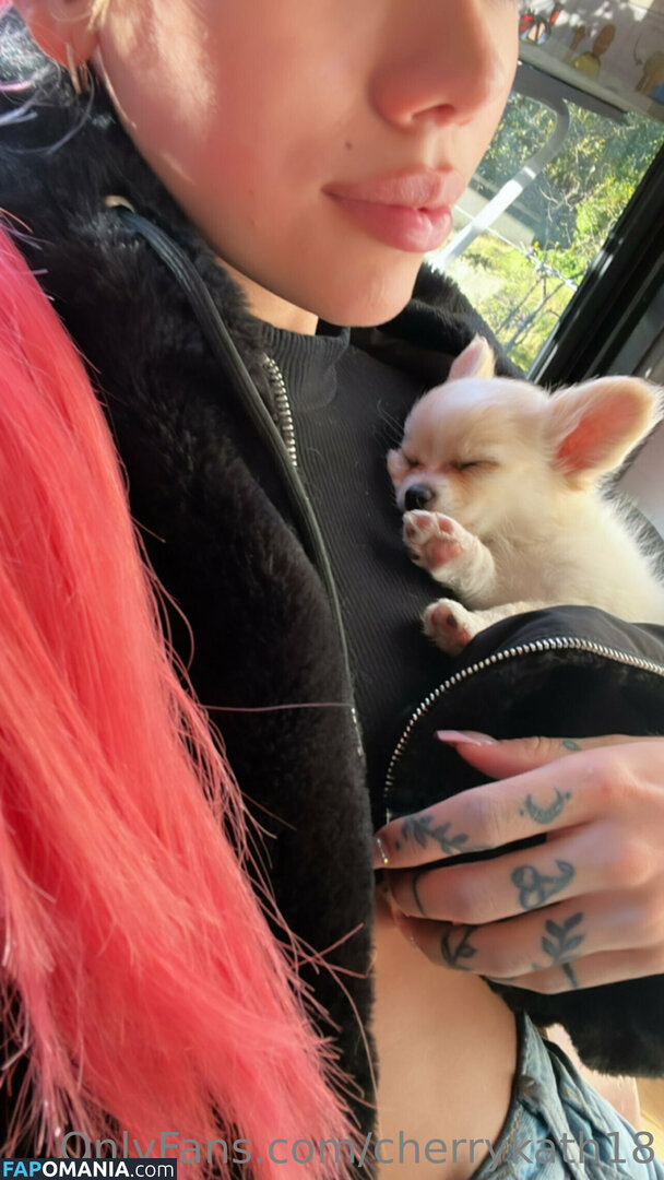 cherrykath18 ヌード OnlyFans  流出写真 #19