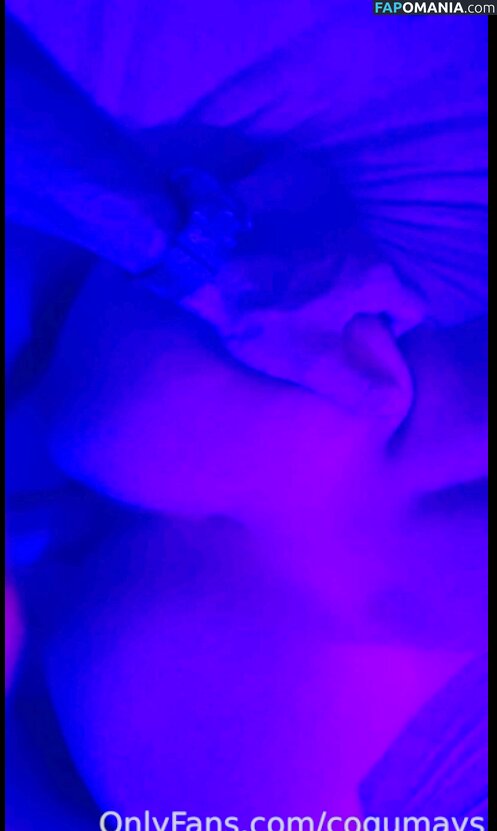 Cogumays / Mayara Vér Meyer ヌード OnlyFans  流出写真 #465