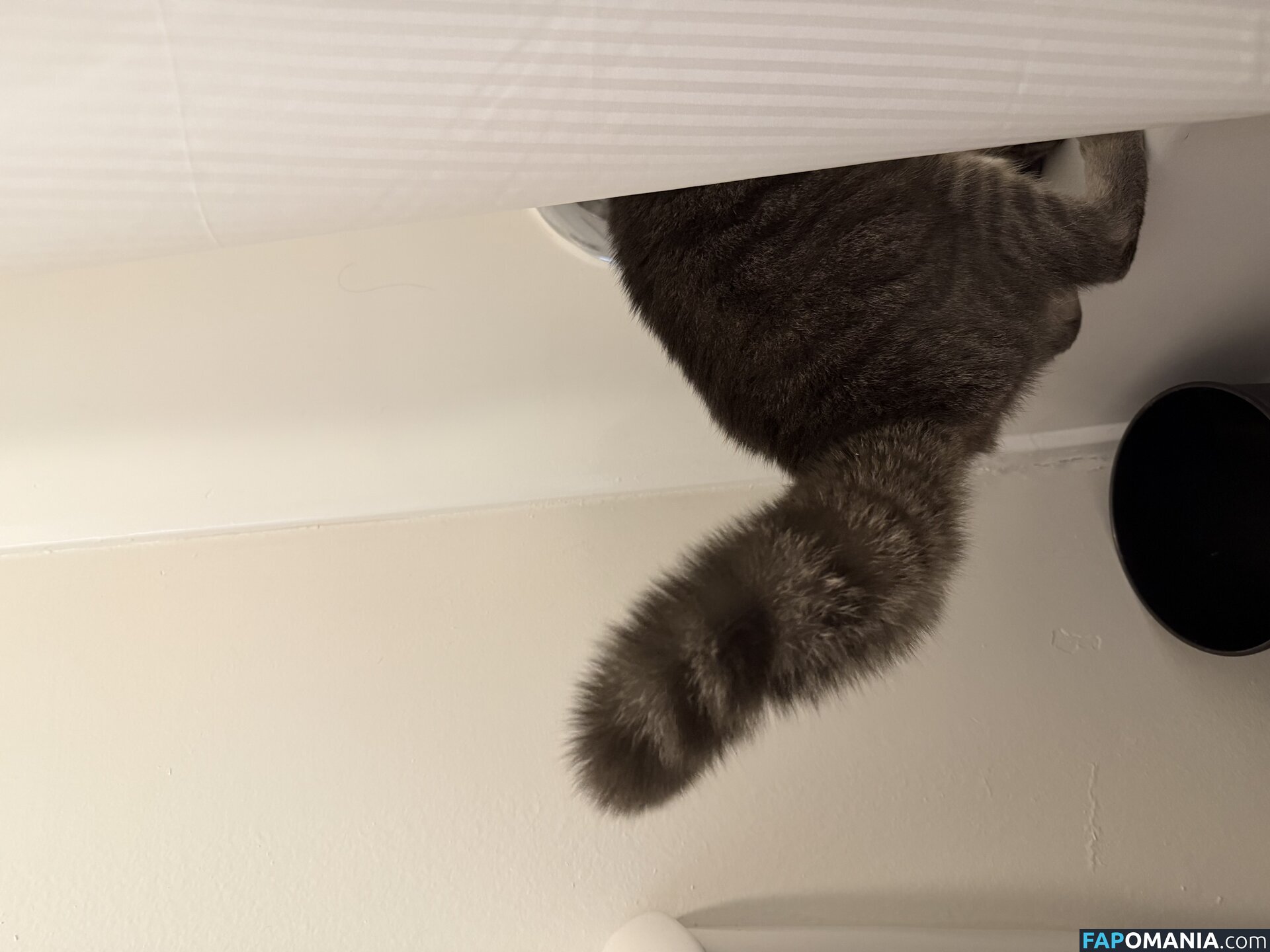 dahniks / dahnikz ヌード OnlyFans  流出写真 #15