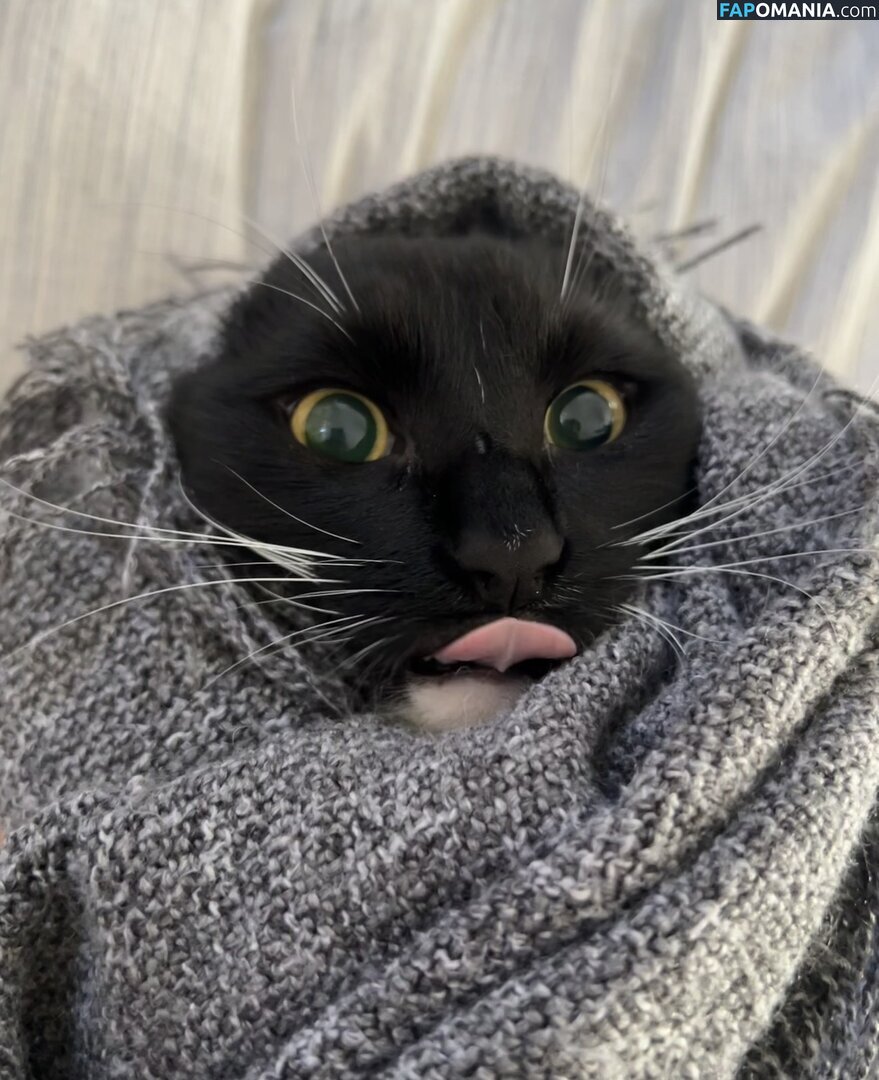 dahniks / dahnikz ヌード OnlyFans  流出写真 #19