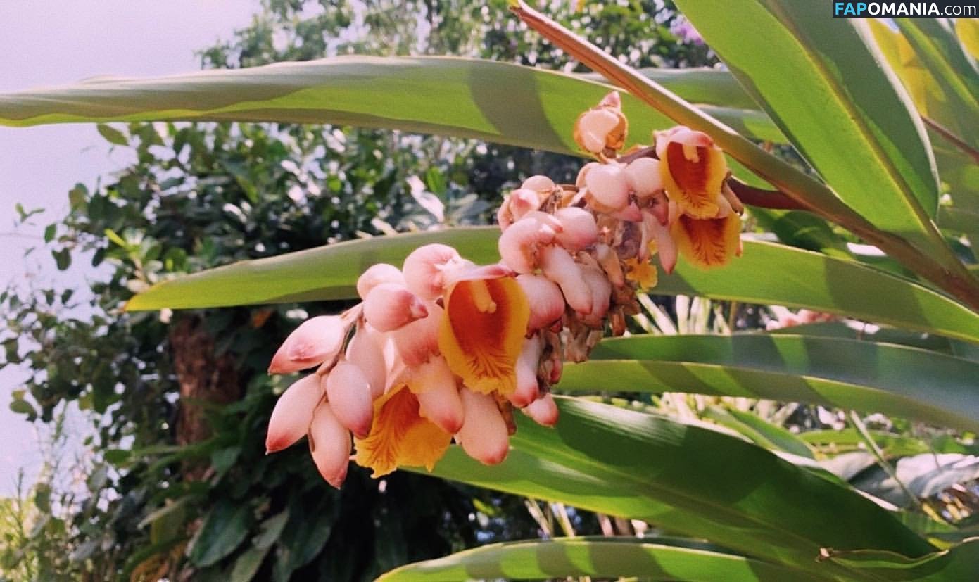 Erin Ashford / erinashford / erincaity ヌード OnlyFans  流出写真 #11