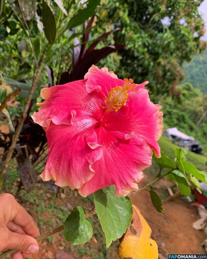 Erin Ashford / erinashford / erincaity ヌード OnlyFans  流出写真 #26