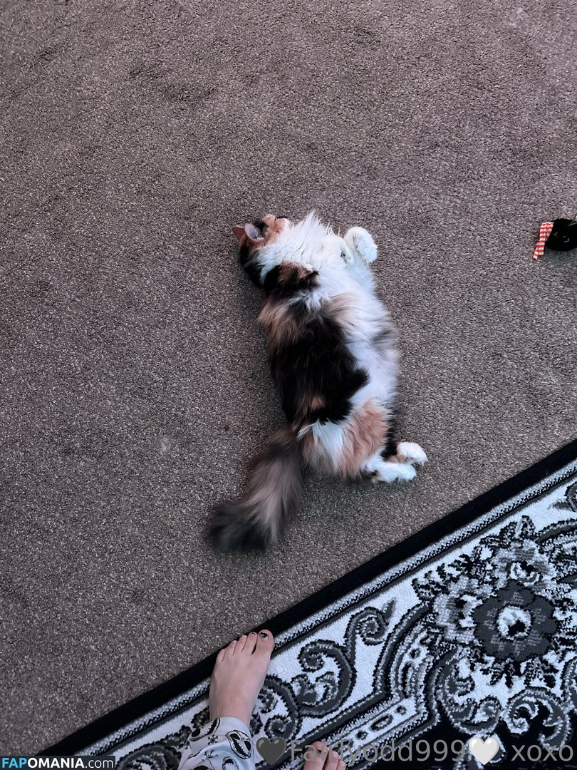 fairlyodd222 ヌード OnlyFans  流出写真 #6