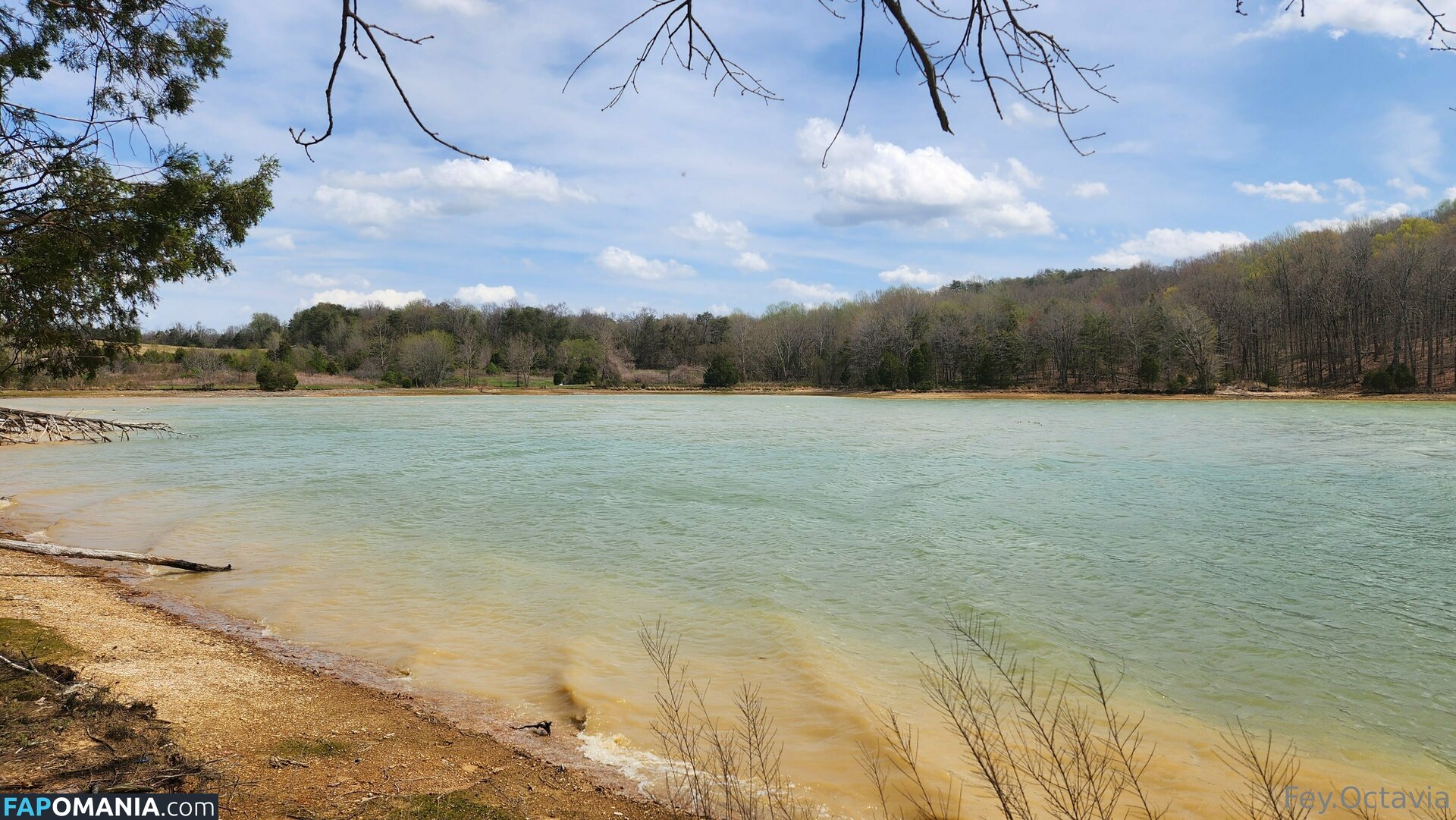 fey.octavia.free / feyoctavia ヌード OnlyFans  流出写真 #7