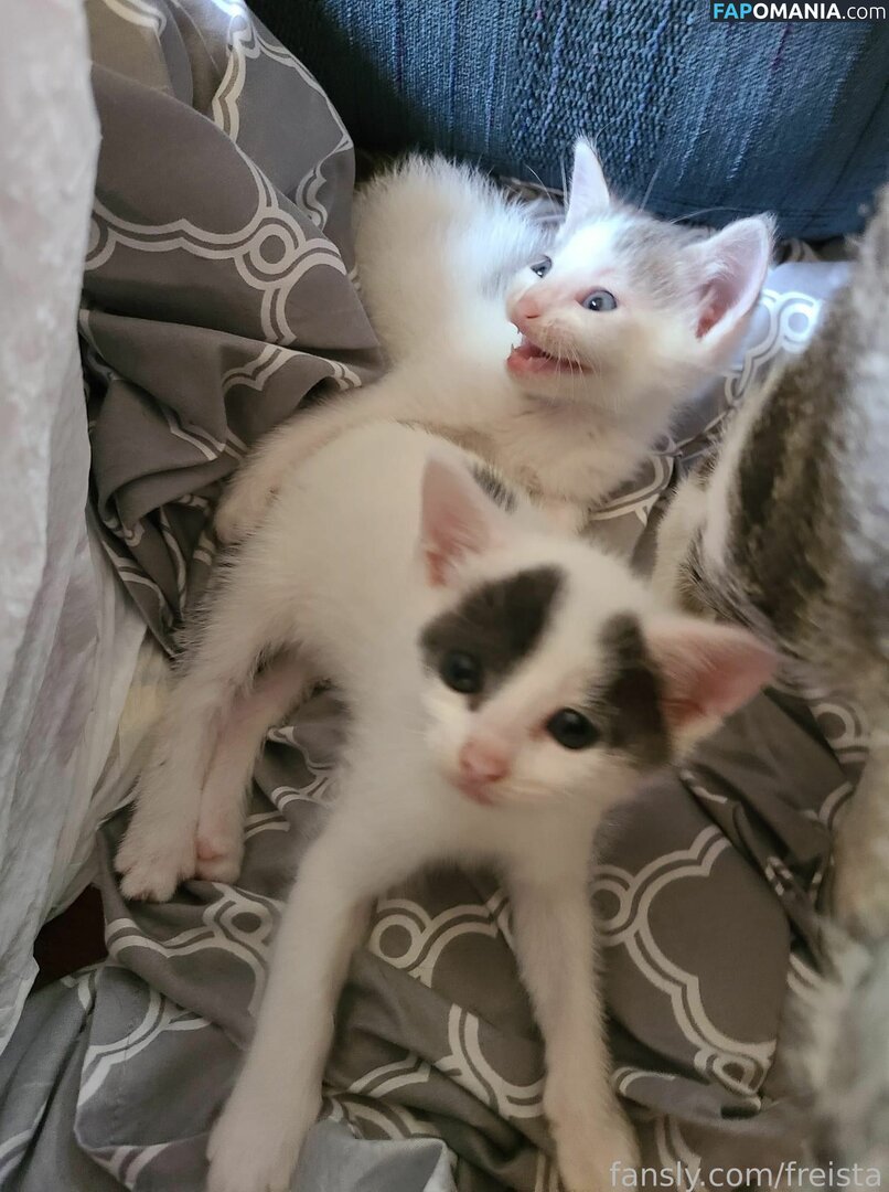 Freista / Tittykona / _mofreitas ヌード OnlyFans  流出写真 #16