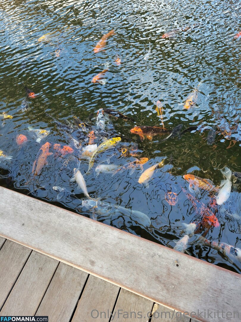 geekikitten / geekykittenxo ヌード OnlyFans  流出写真 #4