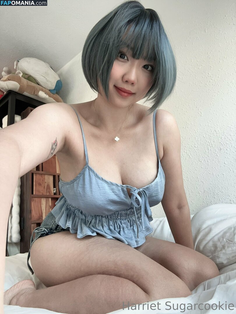 HSugarCookie / Harriet Sugarcookie / harrietsugarcookie / iamharrietsugarcookie ヌード OnlyFans  流出写真 #85