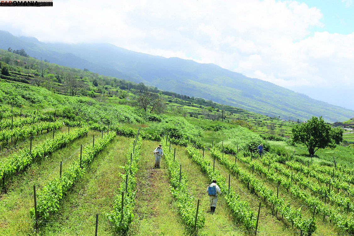 julia_lyn ヌード OnlyFans  流出写真 #10