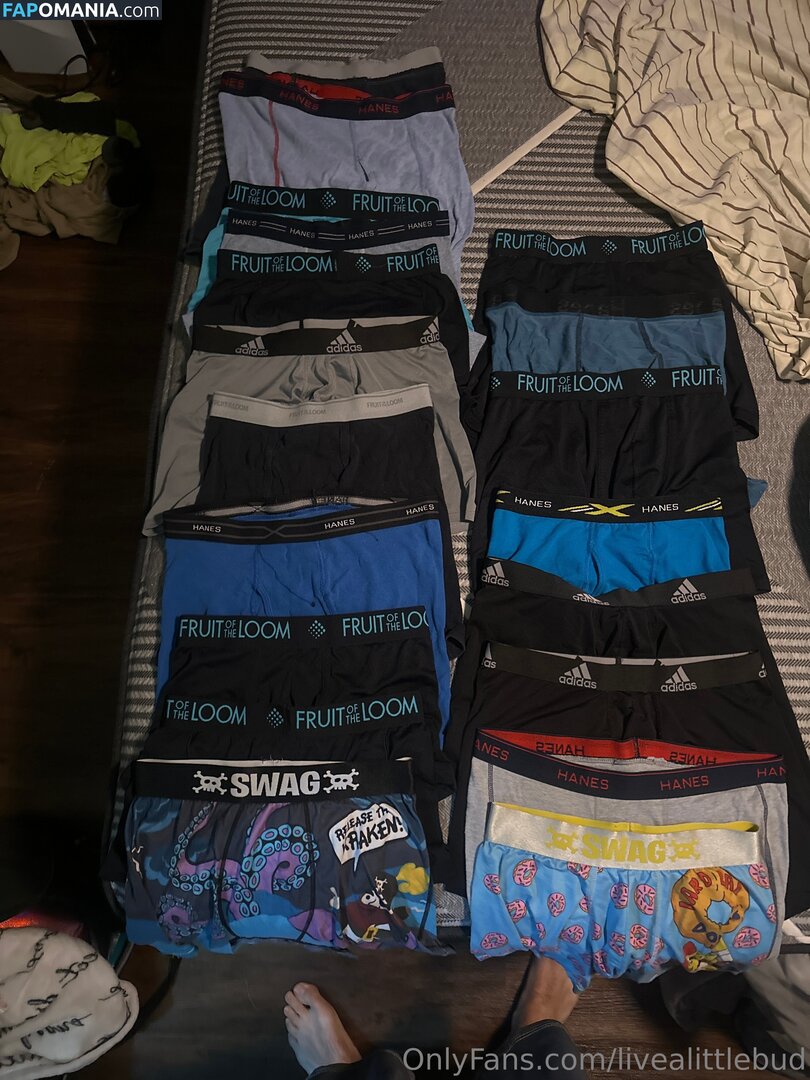livealittlebud ヌード OnlyFans  流出写真 #1