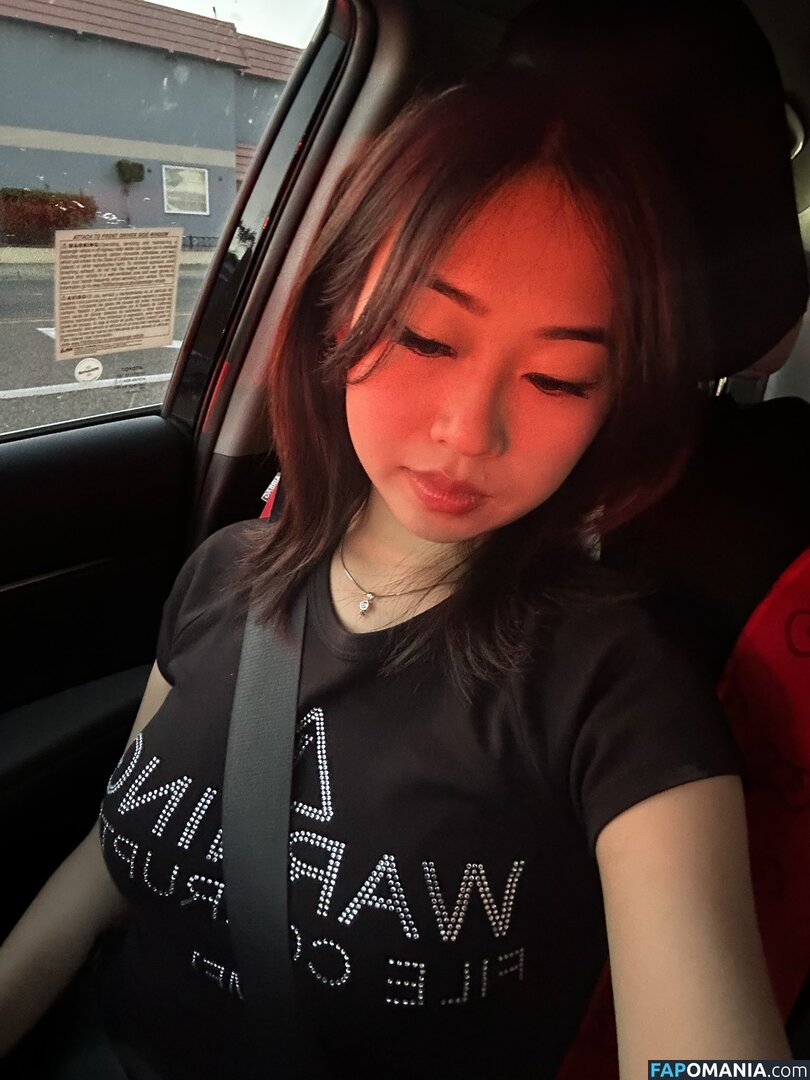 MEI LEE / meilee / meilee.offcial ヌード OnlyFans  流出写真 #22