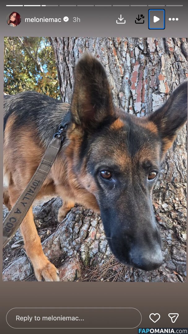 Melonie Mac / meloniemac ヌード OnlyFans  流出写真 #14