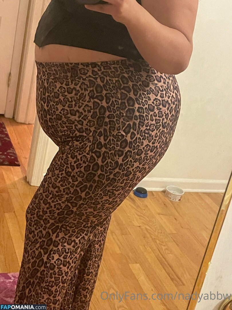 nadya_chubby / nadyabbw ヌード OnlyFans  流出写真 #311