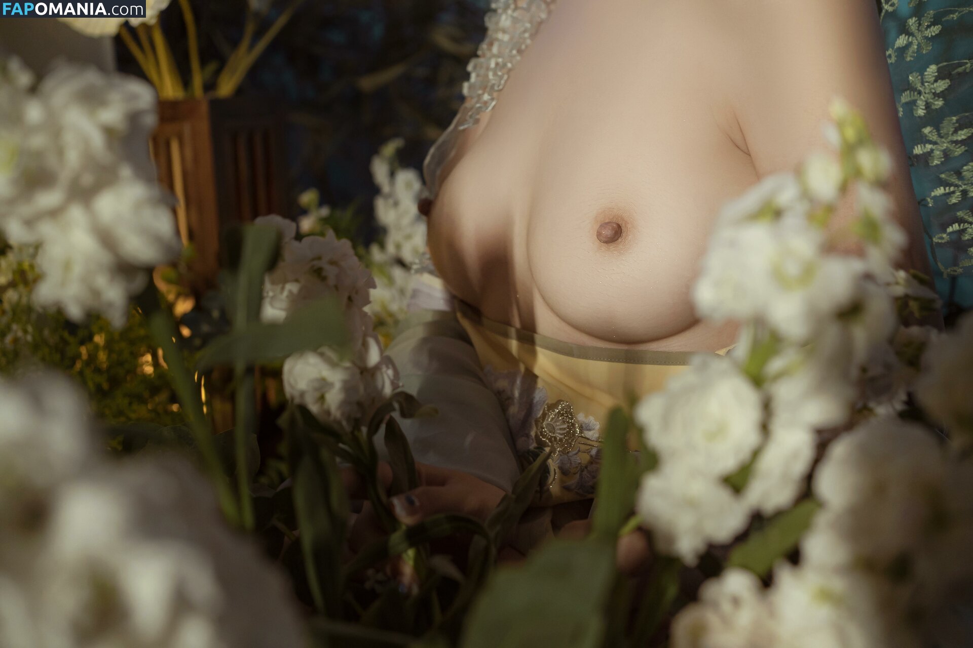 kumicho_cat / nekokoyoshi / nekososto / 喵小吉 / 爆机少女 喵小吉 ヌード OnlyFans  流出写真 #380