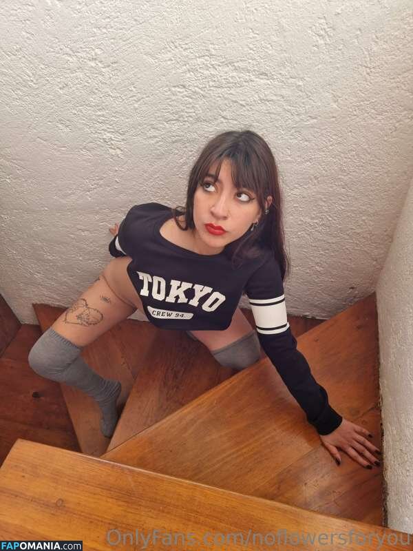 NoFlowers4You / NoFlowersForYou / NoFlowersForYou... / NoFlowersForYou_ / assets / https: / noflowersforu ヌード OnlyFans  流出写真 #11
