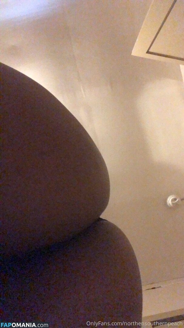 northernsouthern / northernsouthernpeach ヌード OnlyFans  流出写真 #11