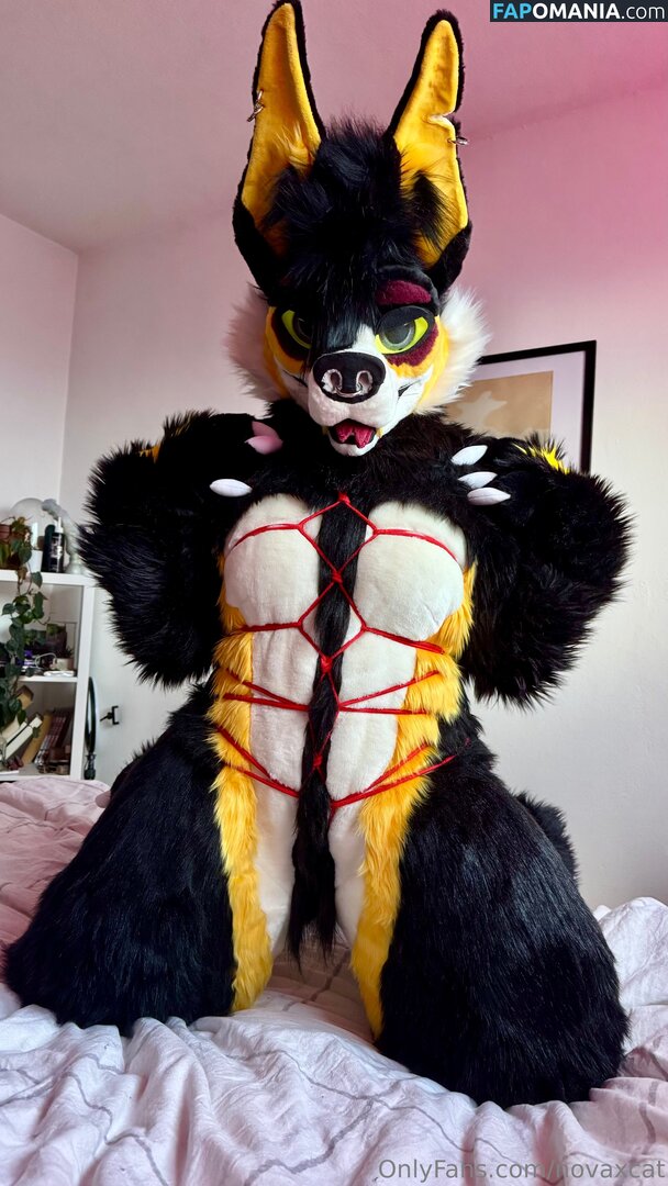 novaxcat / novaxxcat ヌード OnlyFans  流出写真 #1