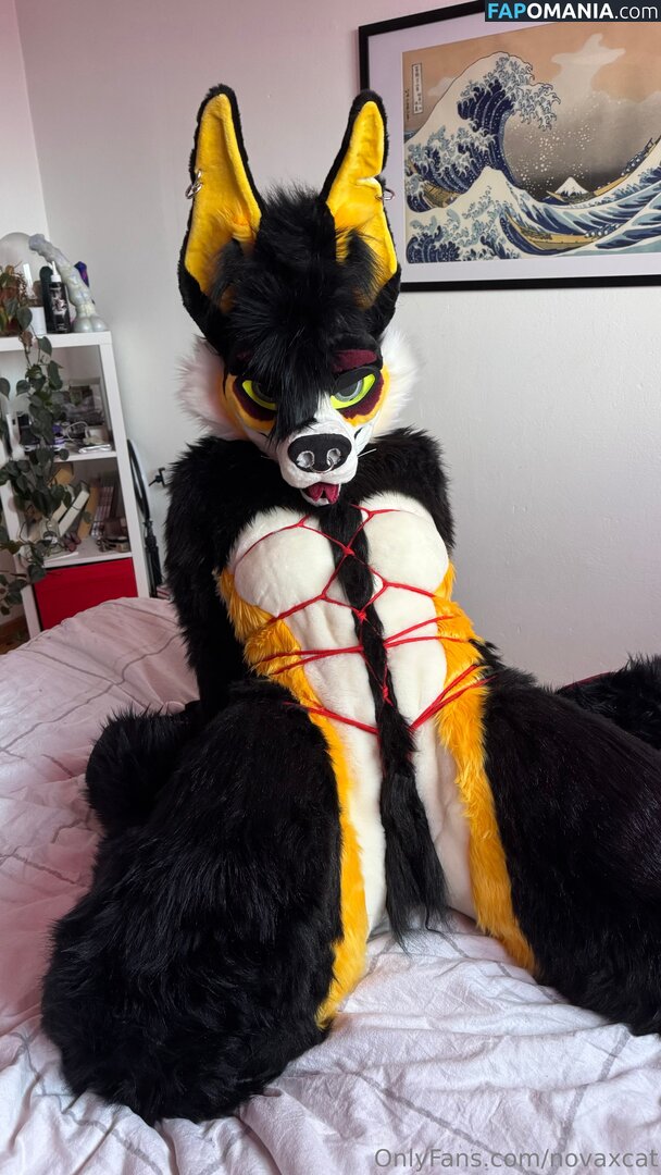 novaxcat / novaxxcat ヌード OnlyFans  流出写真 #2