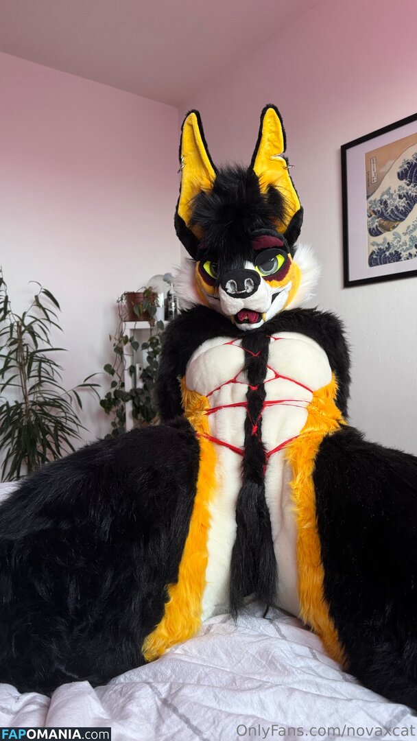 novaxcat / novaxxcat ヌード OnlyFans  流出写真 #3