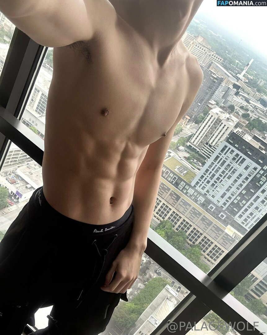 palacewolf / palacewolfent ヌード OnlyFans  流出写真 #4