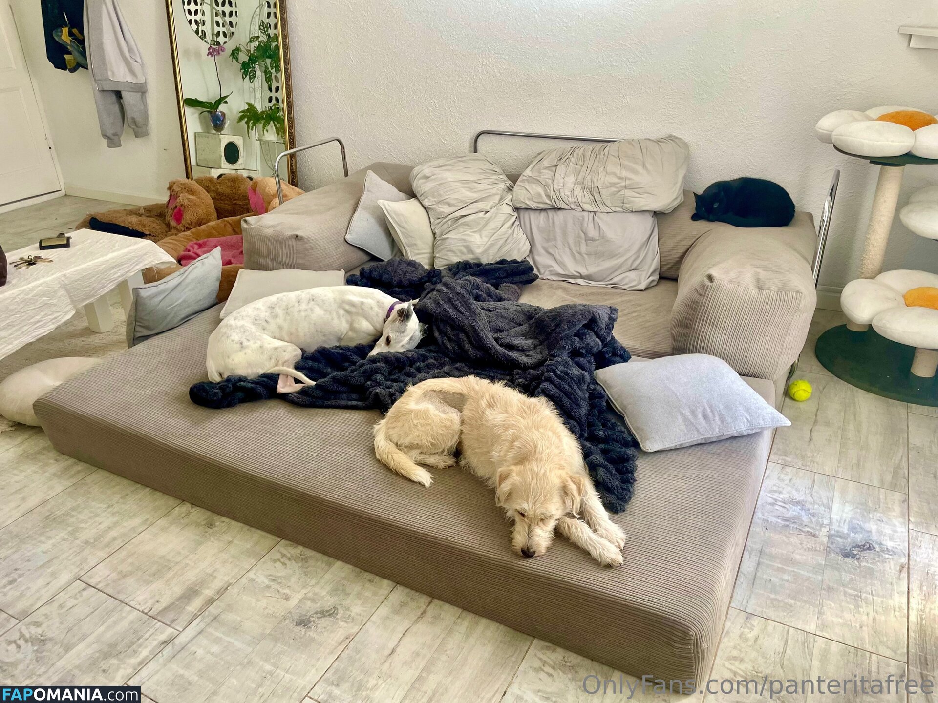 panteritafree ヌード OnlyFans  流出写真 #6