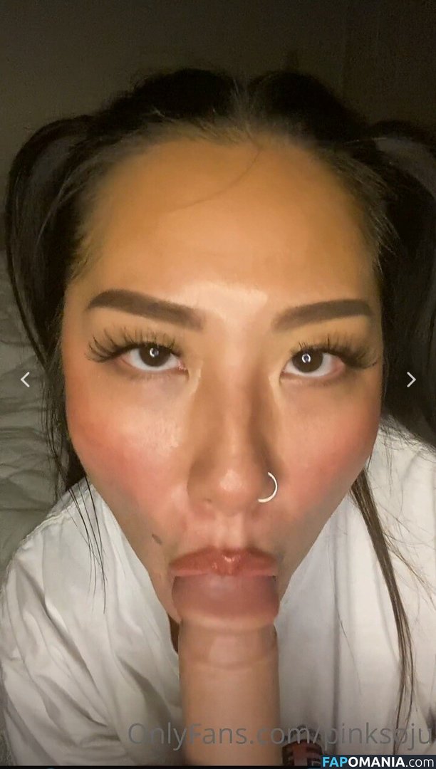 PlNKSOJU / denisetamsi / pinksoju ヌード OnlyFans  流出写真 #11