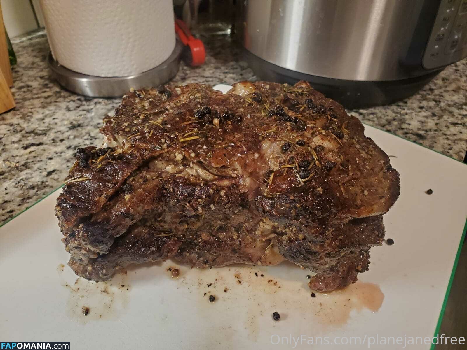 planejane8 / planejanedfree ヌード OnlyFans  流出写真 #10