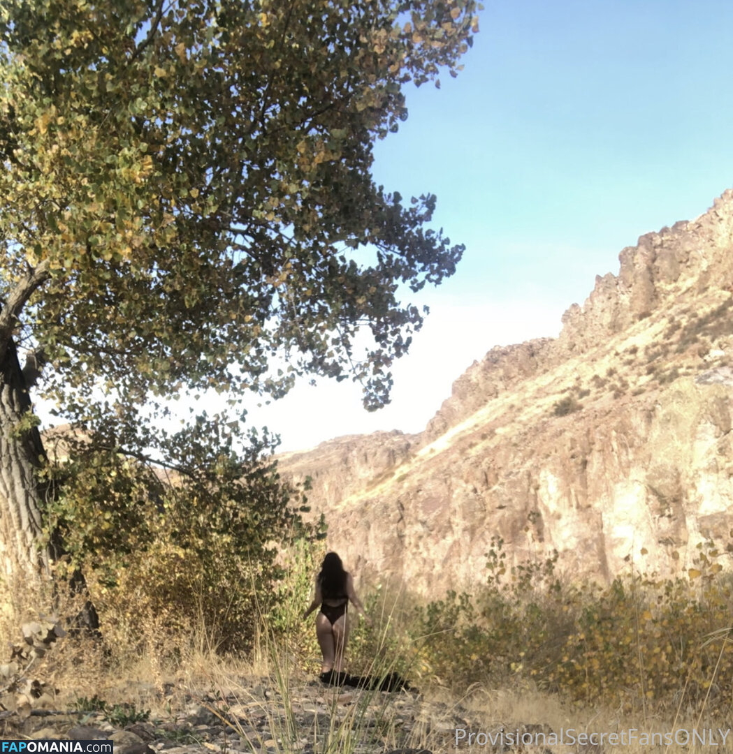 playfulsecret / provisionalsecret ヌード OnlyFans  流出写真 #1