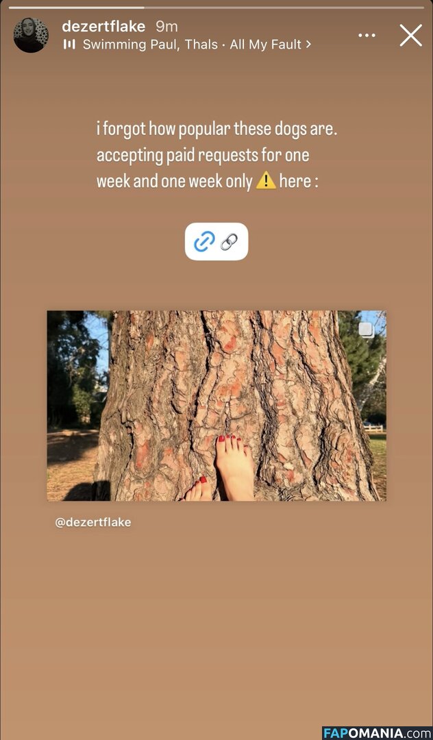 Sher Arar ヌード OnlyFans  流出写真 #1