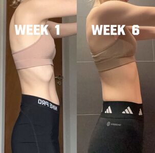 sophiereidfit