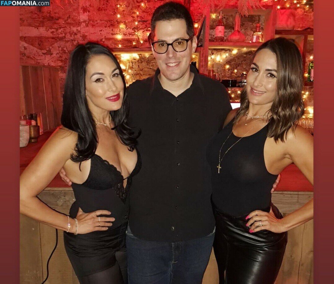 Nikki Bella & Brie Bella / The Bella Twins / thenikkibella ヌード OnlyFans  流出写真 #202