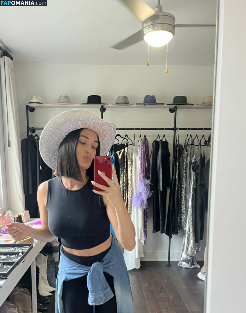 Nikki Bella & Brie Bella / The Bella Twins / thenikkibella ヌード OnlyFans  流出写真 #262