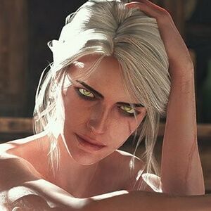 The Witcher