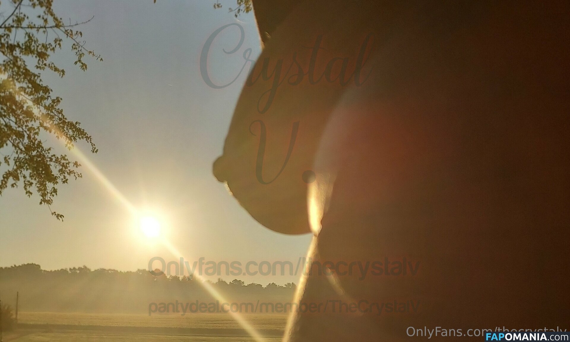 crystallv / thecrystalv ヌード OnlyFans  流出写真 #11
