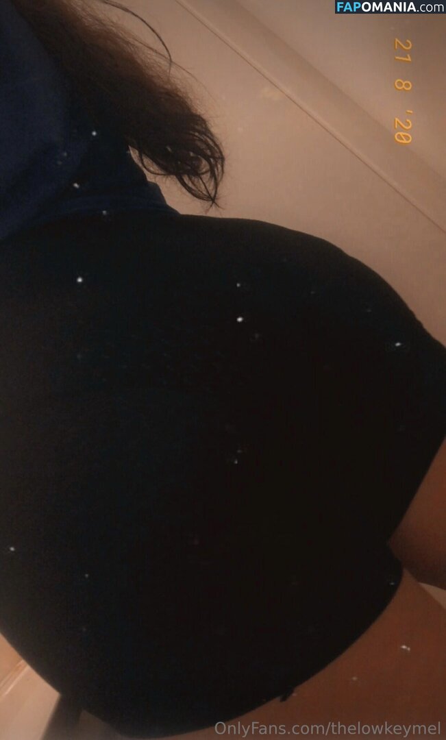 TheLowkeyMel / theofficiallmel ヌード OnlyFans  流出写真 #7