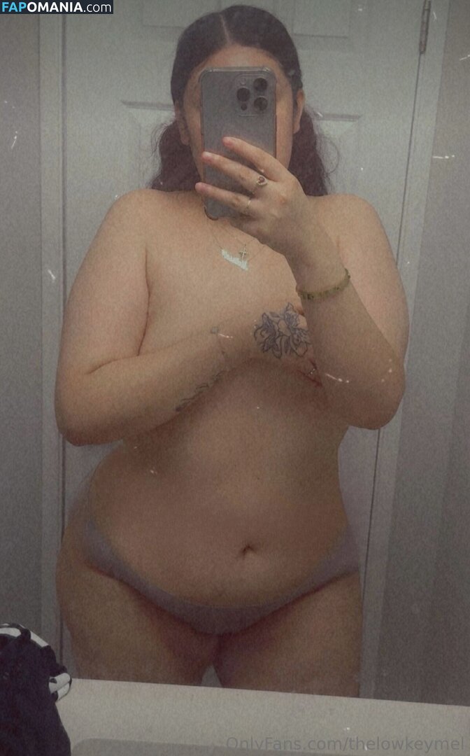 TheLowkeyMel / theofficiallmel ヌード OnlyFans  流出写真 #12