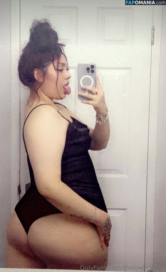 TheLowkeyMel / theofficiallmel ヌード OnlyFans  流出写真 #13