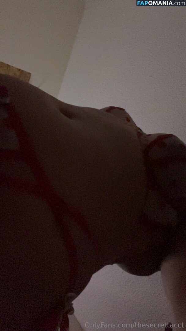 thesecretaryy / thesecrettacct ヌード OnlyFans  流出写真 #3