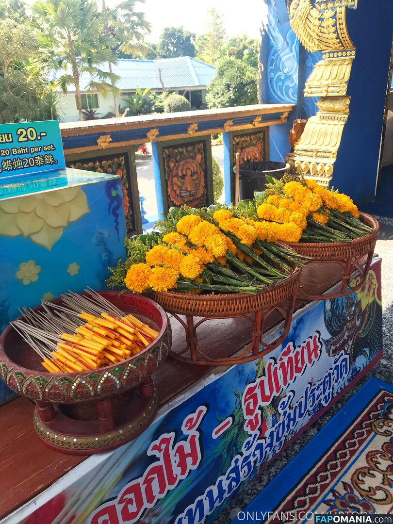 Duang duen / Uptoduen ヌード OnlyFans  流出写真 #58