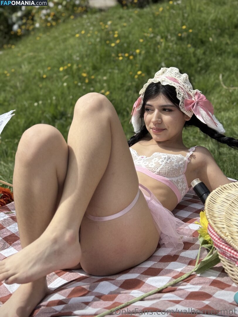 Valberriesmot ヌード OnlyFans  流出写真 #5