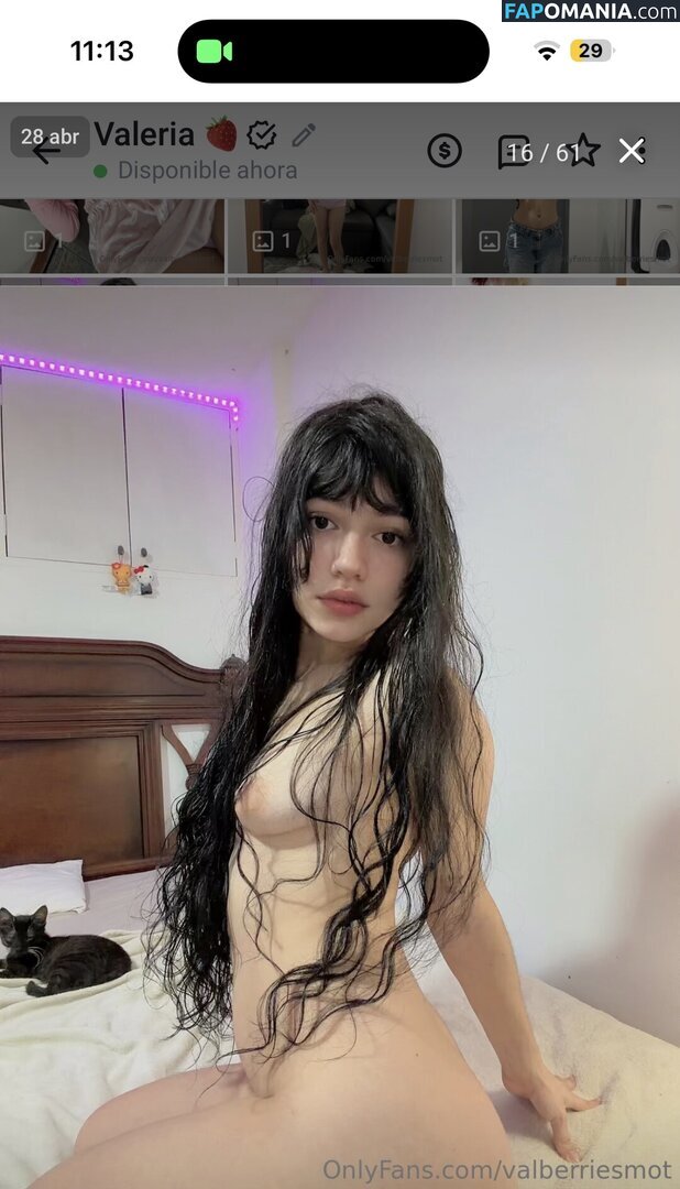 Valberriesmot ヌード OnlyFans  流出写真 #19