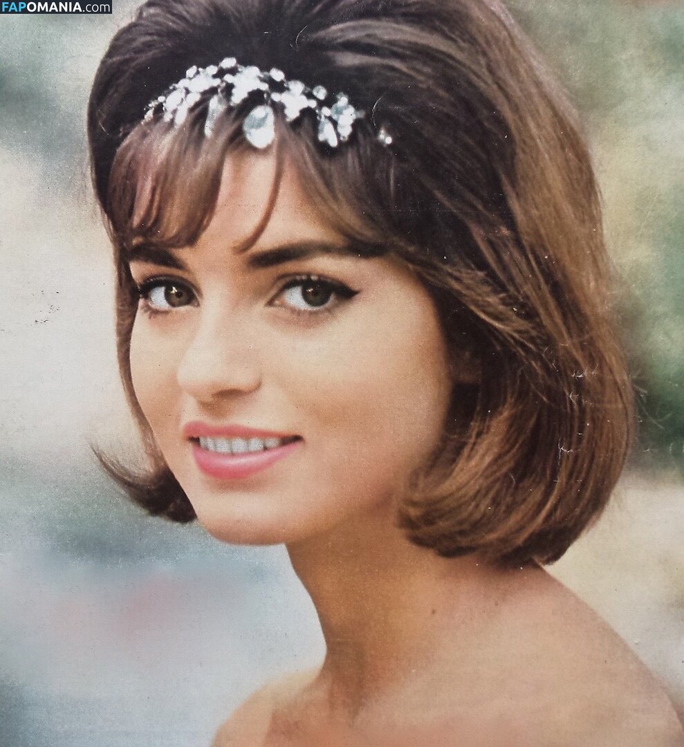 Vintage Starlets ヌード OnlyFans  流出写真 #396