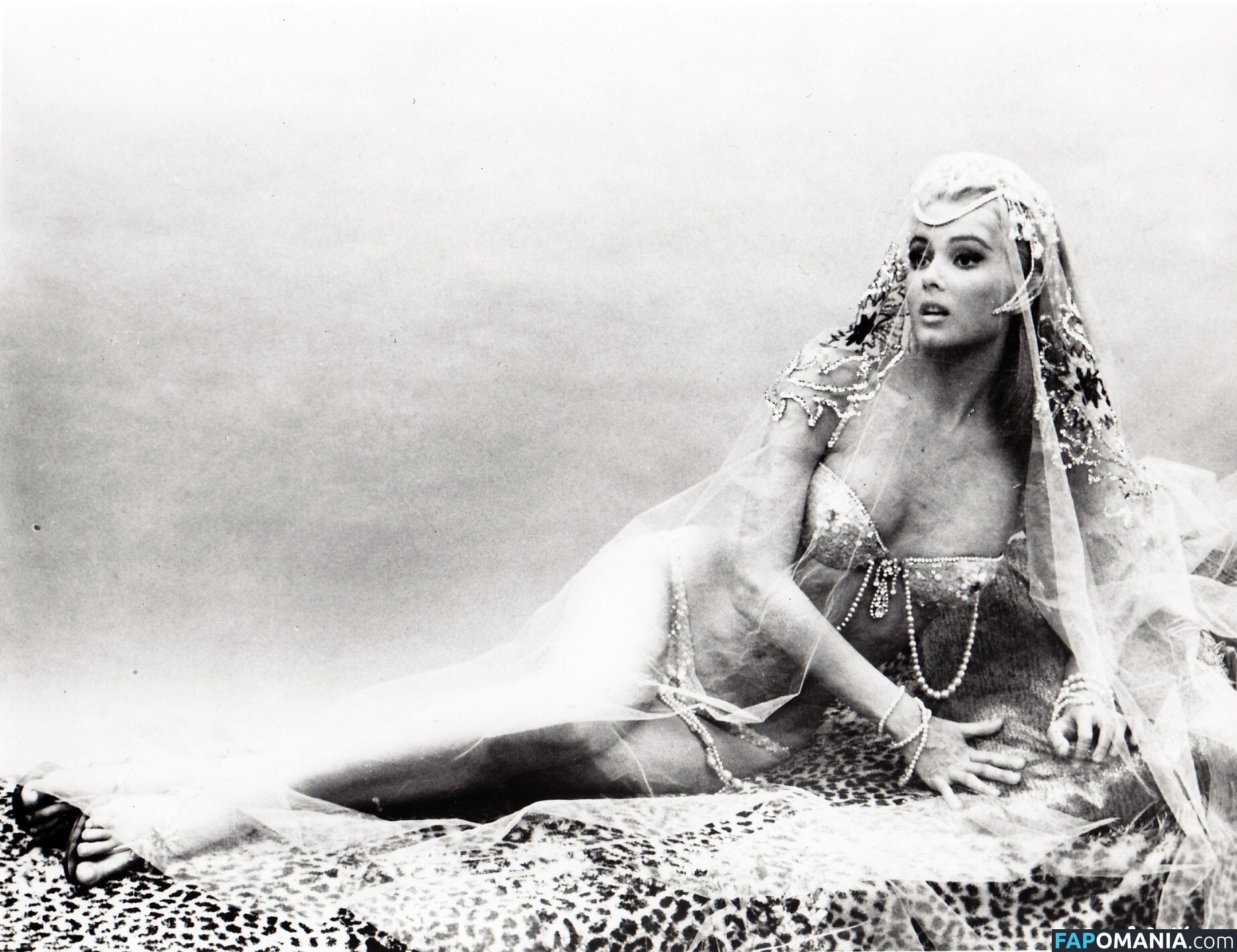Vintage Starlets ヌード OnlyFans  流出写真 #543